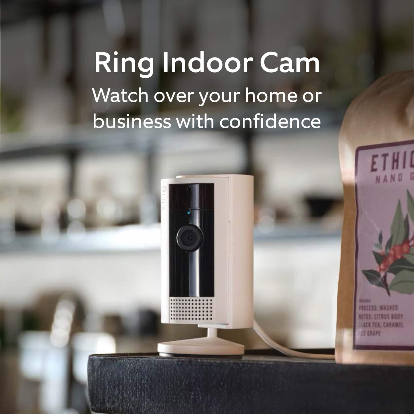 Ring Indoor Cam - 2